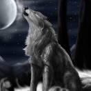 宇斯的个人资料头像