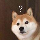 MoMo同学97931的个人资料头像