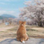 默丶給予的个人资料头像