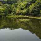 旺旺在掘金的个人资料头像