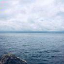 小小志7的个人资料头像