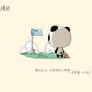 Rowestar的个人资料头像