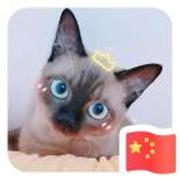 killian本尊的个人资料头像