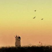 cecelia的个人资料头像