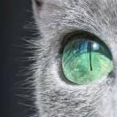 吴奇翰的个人资料头像