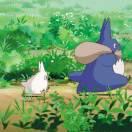 胡马依北风的个人资料头像