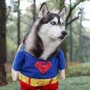 undefined的个人资料头像