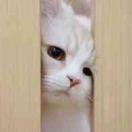 王弱小的个人资料头像