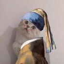 赵腾同学的个人资料头像