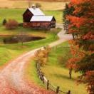 张苏亚的个人资料头像