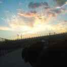 飞行者的个人资料头像