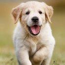 低调同志98659的个人资料头像