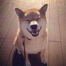 美凌格丶的个人资料头像