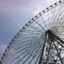 Ocean同志的个人资料头像