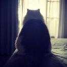 Popov的个人资料头像