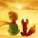 不系之舟同志的个人资料头像