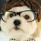 心有阳光爱学习的个人资料头像