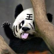 heartbeast的个人资料头像