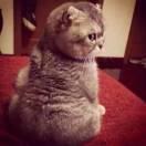 不想说话的个人资料头像