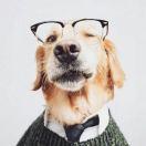 耿朋的个人资料头像