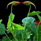 前程祈福的个人资料头像