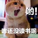 Flame就是我的个人资料头像