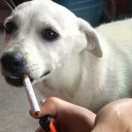 鱼香茄子酱的个人资料头像