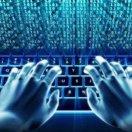 Aidy的个人资料头像