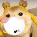 小熊饼干爱学习的个人资料头像