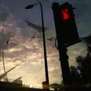 CiYelson本尊的个人资料头像