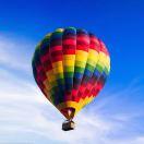 狗狗的个人资料头像