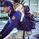 达芬奇的二向箔的个人资料头像