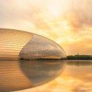 如形随影的个人资料头像