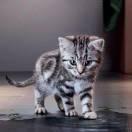 阿飘同学99411的个人资料头像