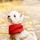 Haha本尊99439的个人资料头像