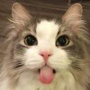 你是大懒虫呀大懒虫的个人资料头像