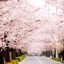 mouse不想说话的个人资料头像