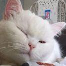 重名了99509的个人资料头像