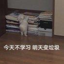 Moses重名了的个人资料头像