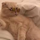 同志99614的个人资料头像