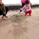 answer本尊99747的个人资料头像