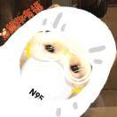 奥利奥夹欣的个人资料头像