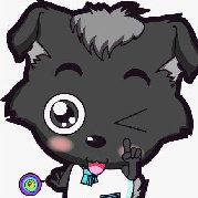 小概率事件是可能发生的个人资料头像