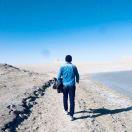 WillFine的个人资料头像