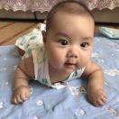 foogry的个人资料头像