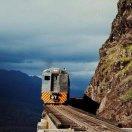 摧子的个人资料头像