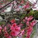 霓霫莲姐的个人资料头像