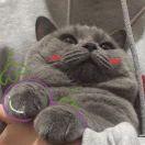 四方青竹的个人资料头像