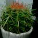 沉默是金舒清的个人资料头像