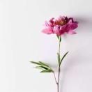 spring的个人资料头像